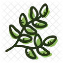 Thyme Leaf Plant Icon
