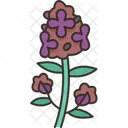 Thyme Herb Plant Icon