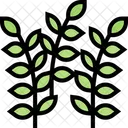 Thyme Leaf Thyme Leaf Icon