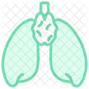 Thymus Duotone Line Icon Icon