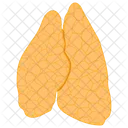 Thymus Gland Gland Thymus Icon