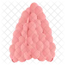 Thymus Gland  Icône