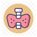 Thyroid Icon