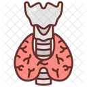 Thyroid  Icon