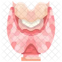 Thyroid Organ Body Part Icône