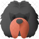 Tibetan mastiff  Icon
