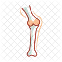 Tibia  Icon