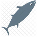 Tiburon Pez Animal Icon