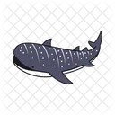 Tiburon Ballena Animal Ballena Icon