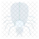Tick Insect Bug Icon