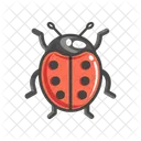 Check Done Approved Icon