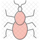 Tick Insect Parasite Icon