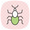Tick Insect Parasite Icon