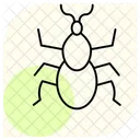 Tick Insect Parasite Icon
