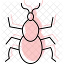 Tick Insect Parasite Icon