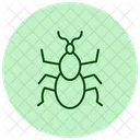 Tick Insect Parasite Icon