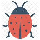 Tier Kafer Insekt Symbol