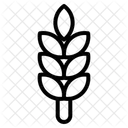  Icône