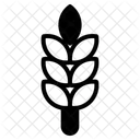  Icône
