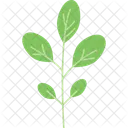 Tige De Feuille De Branche Feuille Tige De Plante Icon
