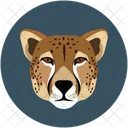 Tiger Carnivore Wild Icon