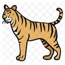 Tiger  Icône