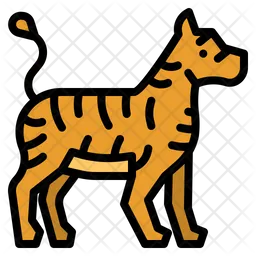 Tiger  Icon