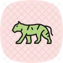 Tiger Symbol