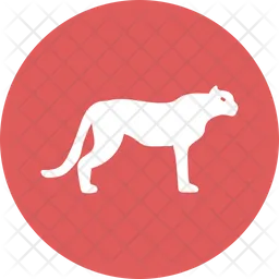 Tiger  Symbol
