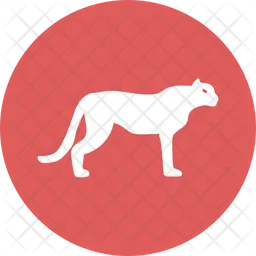 Tiger  Icon