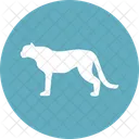 Tiger Katzen Pantherinae Symbol