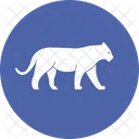 Tiger Felidae Pantherinae Icon