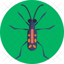 Tiger Beetle  Icon