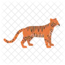 Tiger Animal Wildlife Icon