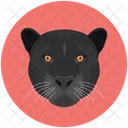 Tiger Black Tiger Face Icon