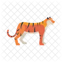 Tiger Orange Black Stripes Icon