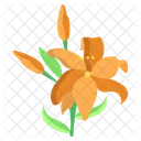 Tiger Lily Flower Blossom Icon