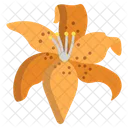 Tiger Lily Flower Flowers Icon