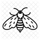 Tiger Moth Insect Bug Icon