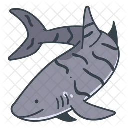 Tiger Shark  Icon