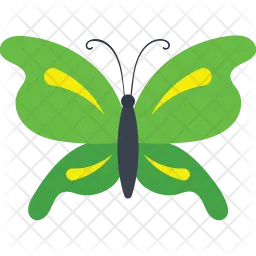 Tiger Swallowtail Butterfly  Icon