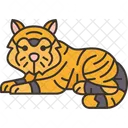 Tigers Mammal Predator Icon