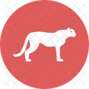 Tigre Felideos Pantherinae Icon