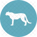 Tigre Felideos Pantherinae Icon