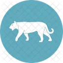 Tigre Felideos Pantherinae Icon