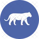 Tigre Felideos Pantherinae Icon