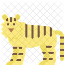 Tigre Animal Salvaje Icono