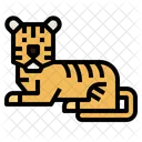 Tigre  Icono