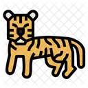 Tigre  Icono