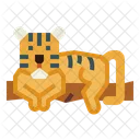 Tigre  Icono